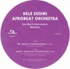 Dele Sosimi Afro Beat Orchestra - Too Much Information Remixes (by Mr Raoul K / Jephte Guillaume)