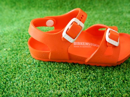 BIRKENSTOCK（ビルケンシュトック） - shoe go shoe シュー ゴ シュー