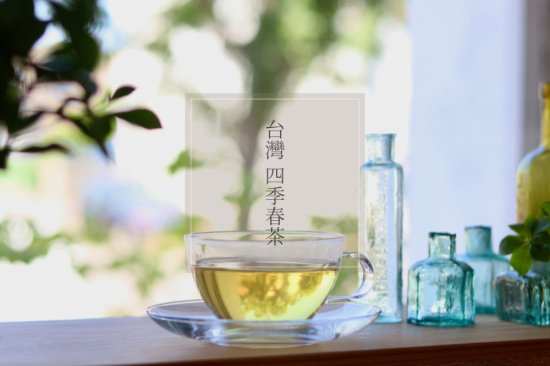 台湾 四季春茶ティーバッグ10個入 - コノハト茶葉店