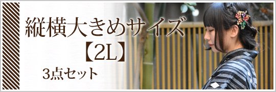 Ĳ礭᥵2L å