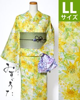 ◆23202WH 白地星の花柄LL×グリーン三重太鼓帯<img class='new_mark_img2' src='https://img.shop-pro.jp/img/new/icons61.gif' style='border:none;display:inline;margin:0px;padding:0px;width:auto;' />