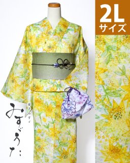 ◆23202WH 白地星の花柄2L×グリーン三重太鼓帯<img class='new_mark_img2' src='https://img.shop-pro.jp/img/new/icons5.gif' style='border:none;display:inline;margin:0px;padding:0px;width:auto;' />