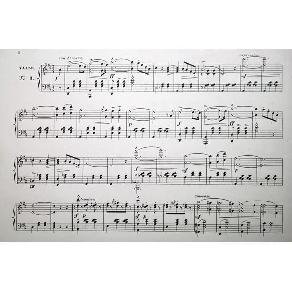 ジュール・フランドラン　「女の髪」(黒髪)　リトグラフ　1898年作　象徴主義 クララ・シューマン | アートプリント