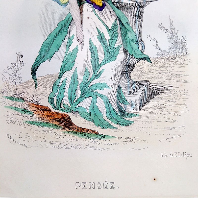 J.J.グランヴィル　「すみれ」　『花の幻想』より　1867年 - アンティーク楽譜や、フランスアンティーク、ヨーロッパ紙ものの通販  【アンサンブル・アンティーク】