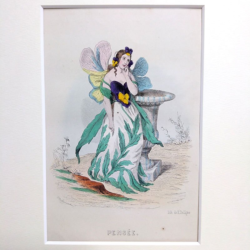 J.J.グランヴィル　「すみれ」　『花の幻想』より　1867年 - アンティーク楽譜や、フランスアンティーク、ヨーロッパ紙ものの通販  【アンサンブル・アンティーク】