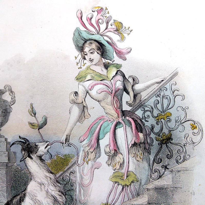 J.J.グランヴィル　「スイカズラ」　『花の幻想』より　1867年 - アンティーク楽譜や、フランスアンティーク、ヨーロッパ紙ものの通販  【アンサンブル・アンティーク】