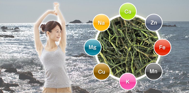 体に良い栄養素が多く含まれているまつもはミネラルの補給や健康維持に最適な海藻です