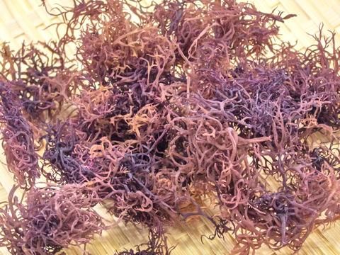 【業務用】小野徳 ふのり 300g|磯の香り豊かな上質のふのりです!