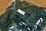 天然ふのり、乾燥めかぶ、あおさ海苔各種通販の松作商店