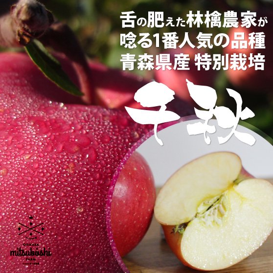 特別栽培 りんご 千秋 青森県産 ３kg ８ １０個 送料無料