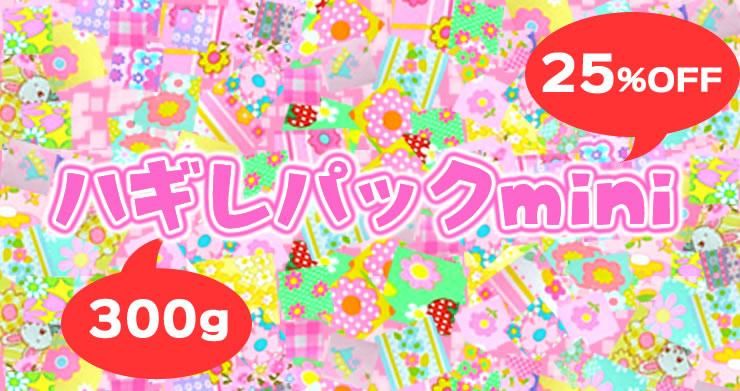 ȥåȡ֥ϥѥåmini 300ס25OFF)