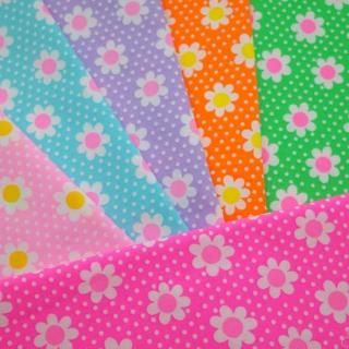 <img class='new_mark_img1' src='https://img.shop-pro.jp/img/new/icons24.gif' style='border:none;display:inline;margin:0px;padding:0px;width:auto;' />picnic 㤤åȡʸꥫ顼6ˡ10%OFF