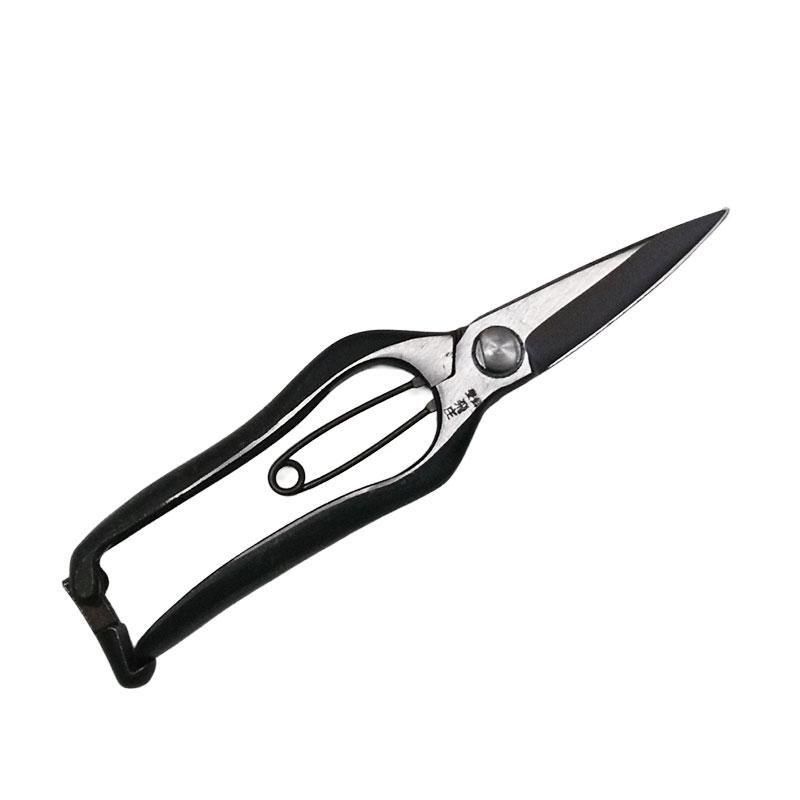 �����������������Ĺ�ϡʶ�ߡ�