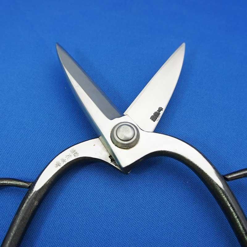 ֿ㡡緿桡Ǥ¤Ļݻ 3