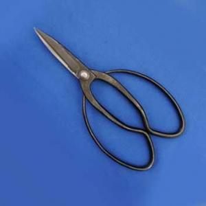 ֿ ֿ㡡BǤ¤Ļݻ͡ʺѡ