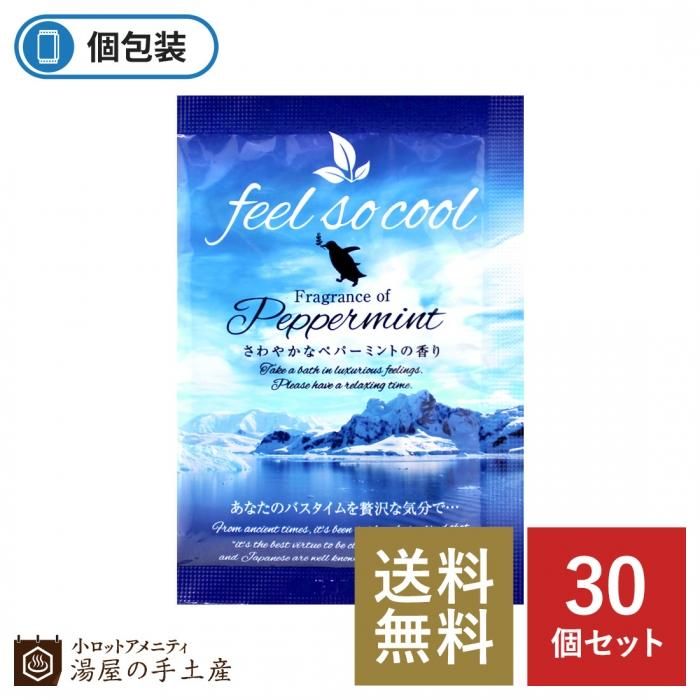 送料無料 夏季限定 フィールソークール入浴剤 30個セット 湯屋の手土産 ゆったりとした寛ぎの瞬間 ひととき