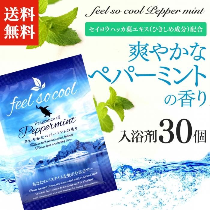 送料無料 夏季限定 フィールソークール入浴剤 30個セット 湯屋の手土産 ゆったりとした寛ぎの瞬間 ひととき