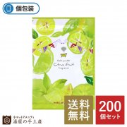 【送料無料】ハーバルエクストラ入浴剤「シトラスフルーツの香り」200個