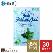 【送料無料】夏季限定 フィールソークール入浴剤 30個セット