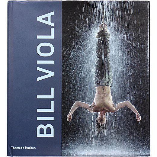 レア品　Bill Viola  ビルヴィオラ　アート映像作品　dvd