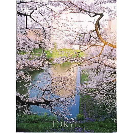 ROCKS / TOKYO NO.7 - OTOGUSU Shop オトグス・ショップ ROCKS / TOKYO NO.7 - OTOGUSU Shop オトグス・ショップ