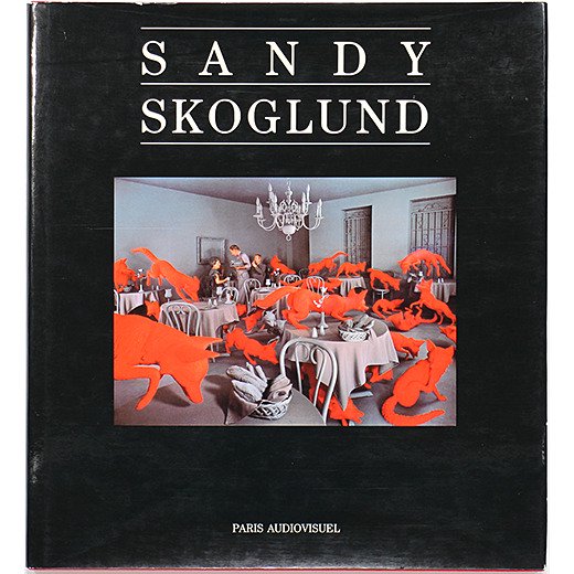 多少の誤差はご了承くださいSANDY SKOGLUND サンディスコグランド 1994年製ヴィンテージ
