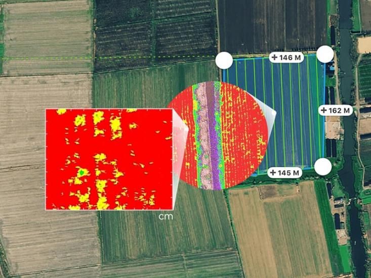 DJI P4 MULTISPECTRAL + セキドネットワークRTK サービス【機体 DJI P4 MULTISPECTRAL + セキドネットワークRTK サービス【機体