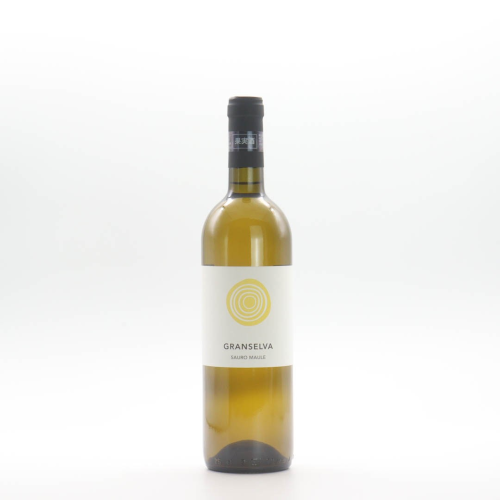 <img class='new_mark_img1' src='https://img.shop-pro.jp/img/new/icons30.gif' style='border:none;display:inline;margin:0px;padding:0px;width:auto;' /> å꡼( ޥ) 󥻥2024Il Cavallino(Sauro Maule)Granselva