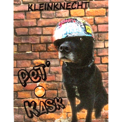 <img class='new_mark_img1' src='https://img.shop-pro.jp/img/new/icons26.gif' style='border:none;display:inline;margin:0px;padding:0px;width:auto;' />饤󥯥ͥҥȡڥå  2023KleinknechtPet O Kask