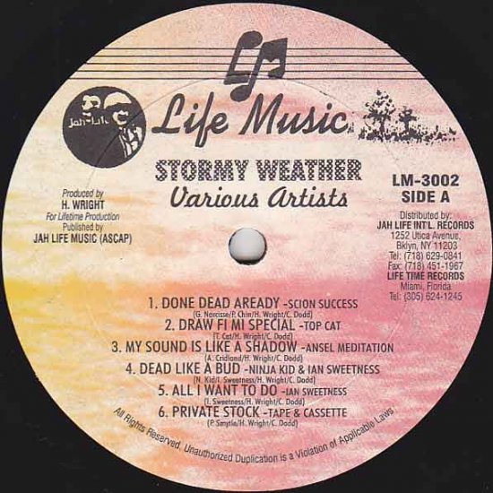 STORM WEATHER / V.A. - STAMINA RECORDS / VINTAGE REGGAE RECORD SHOP