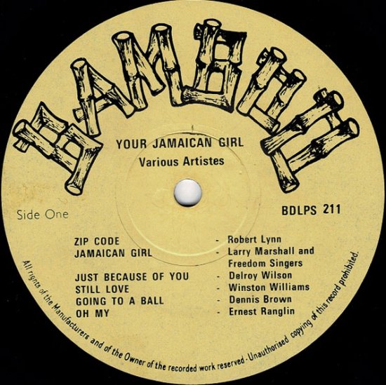 YOUR JAMAICAN GIRL / V.A. - STAMINA RECORDS / VINTAGE REGGAE