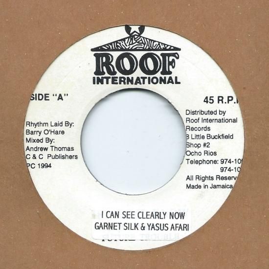 RE-USED】I CAN SEE CLEARLY NOW / GARNET SILK & YASUS AFARI