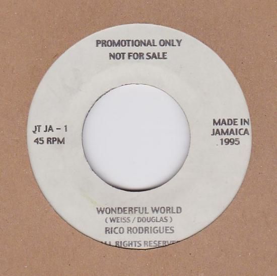 Rico Rodriguez / Wonderful World LP レコード-