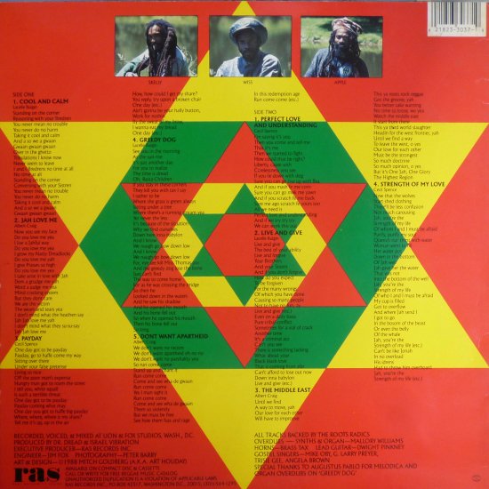 STRENGTH OF MY LIFE / ISRAEL VIBRATION - STAMINA RECORDS / VINTAGE REGGAE  RECORD SHOP