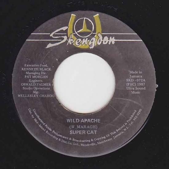 激レア レゲエ レコード JUNIOR CAT／EDEN