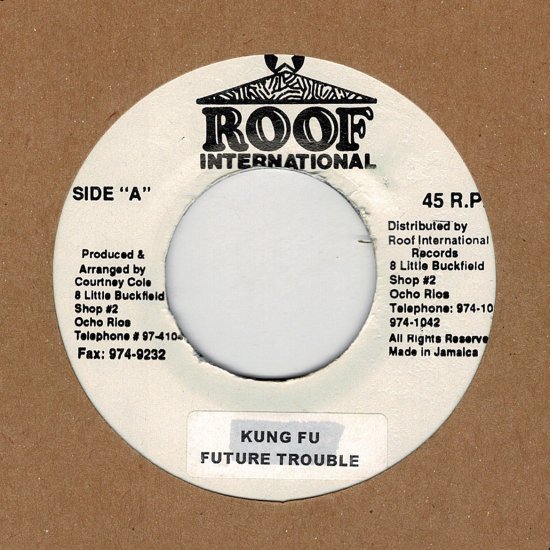 【RE-USED】KUNG FU / FUTURE TROUBLES - STAMINA RECORDS / VINTAGE REGGAE  RECORD SHOP