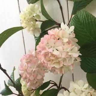 ӥСʥ  ߥ 13.5cmݥå 3ǯ ӥСʥ 