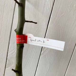   åɥѡ 12cmݥå Τʤ  Υʥ