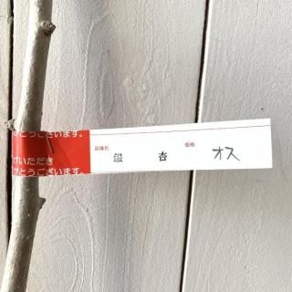    15cmݥå 礦  祦 ʤ ʥ