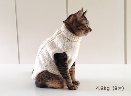 猫用セーター
