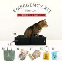 【猫用防災キット6点セット】Emergency kit for cat （グリーン）