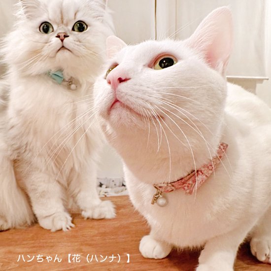 リボン付き猫首輪【Pastel Garden ピンク】｜猫の首輪専門店CONOHA