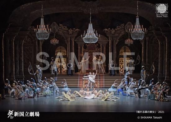 眠れる森の美女 写真 01 アポテオーズ 新国立劇場 オンラインショップ 眠れる森の美女 写真 01 アポテオーズ 新国立劇場 オンラインショップ