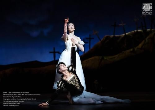 2025ǯإʥɥˡ١ƻ®ĸʣ