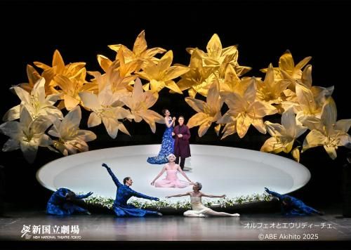 �إ���ե����ȥ�����ǥ��������ټ̿��ʣ�����