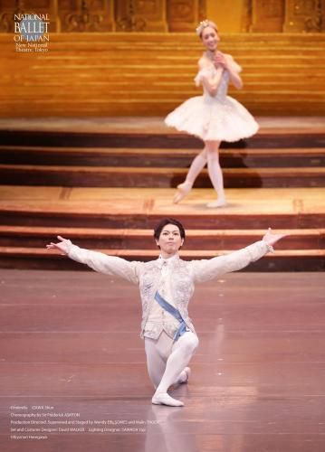 2025�ؤ���߳��ͷ��ٰ�߷���١ʣ���