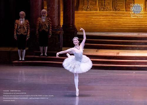 2025�ؤ���߳��ͷ��ټƻ������ʣ���