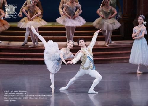 2025�ؤ���߳��ͷ��پ���ҡ���߷ �١ʣ���