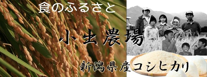 無洗米 - コシヒカリの郷 小出農場 無洗米 - コシヒカリの郷 小出農場