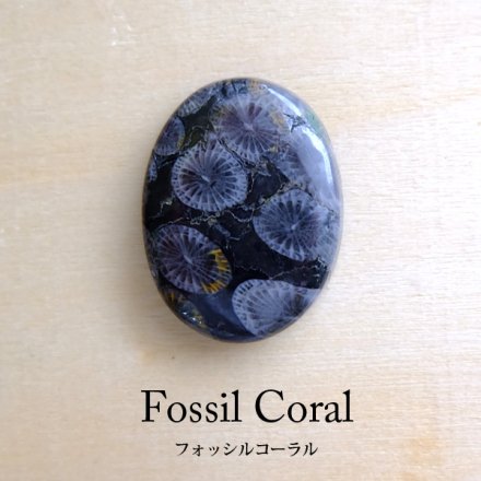 ブラック フォッシルコーラル（化石珊瑚）天然石 カボションルース 